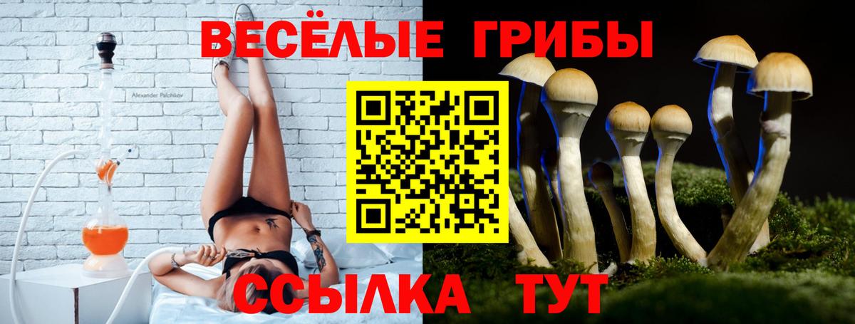Галлюциногенные грибы ЛСД  как найти   Лобня  Вход с VPN 
